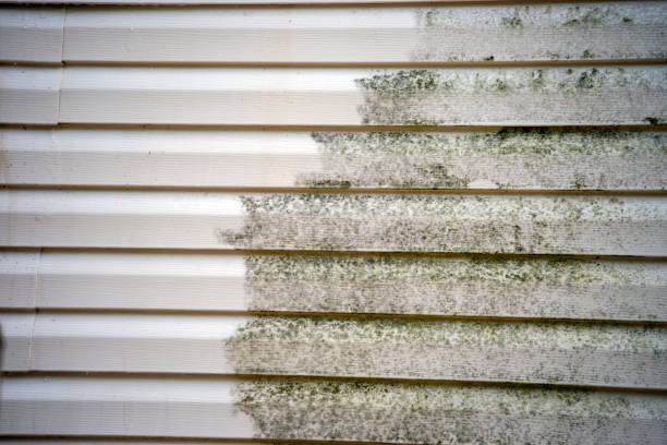 Best Weatherproofing and Sealing  in North Highlands, CA