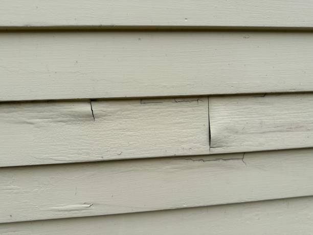 Best Stone Veneer Siding  in North Highlands, CA